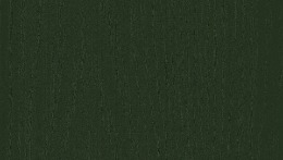 Donker groen woodgrain (AP 113 )